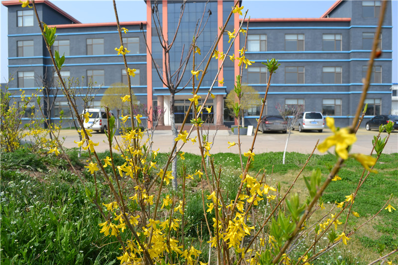 春暖花開，宇通管業(yè)園區(qū)內(nèi)花兒爭相開放！